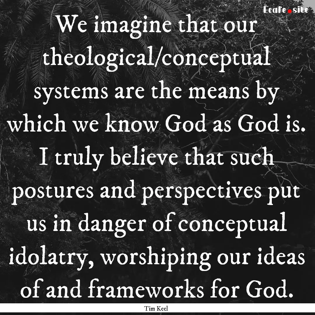 We imagine that our theological/conceptual.... : Quote by Tim Keel