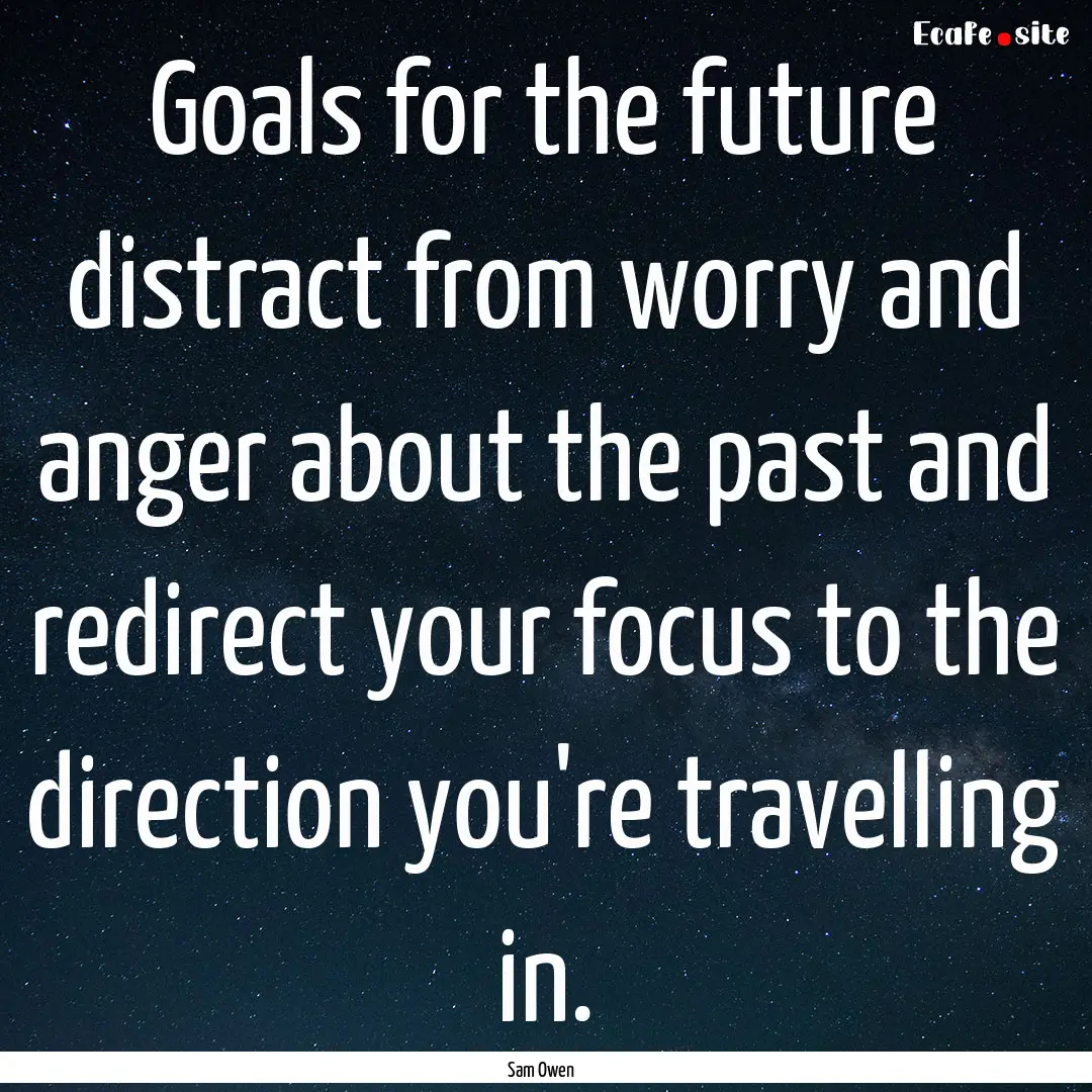 Goals for the future distract from worry.... : Quote by Sam Owen