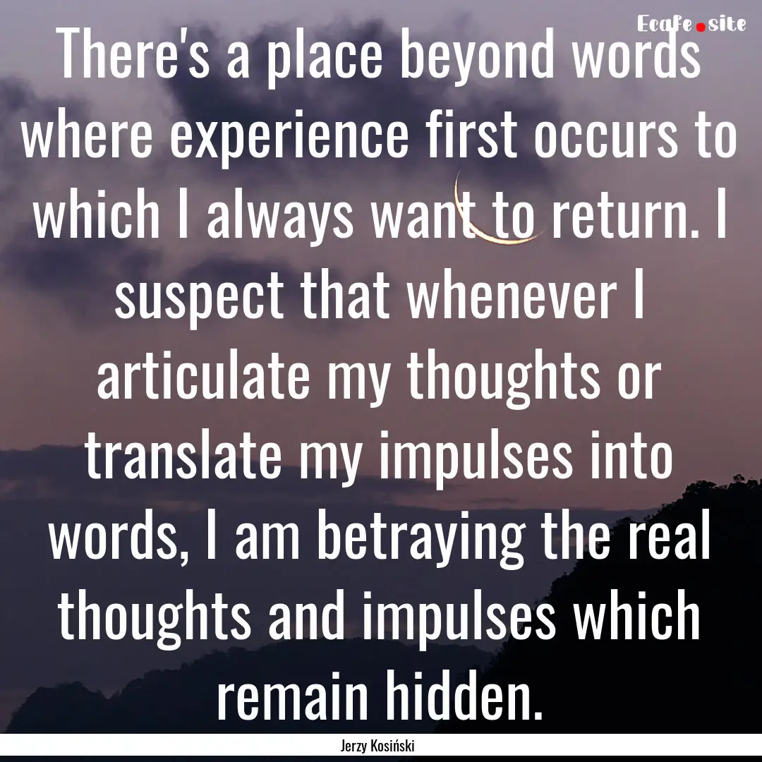 There's a place beyond words where experience.... : Quote by Jerzy Kosiński