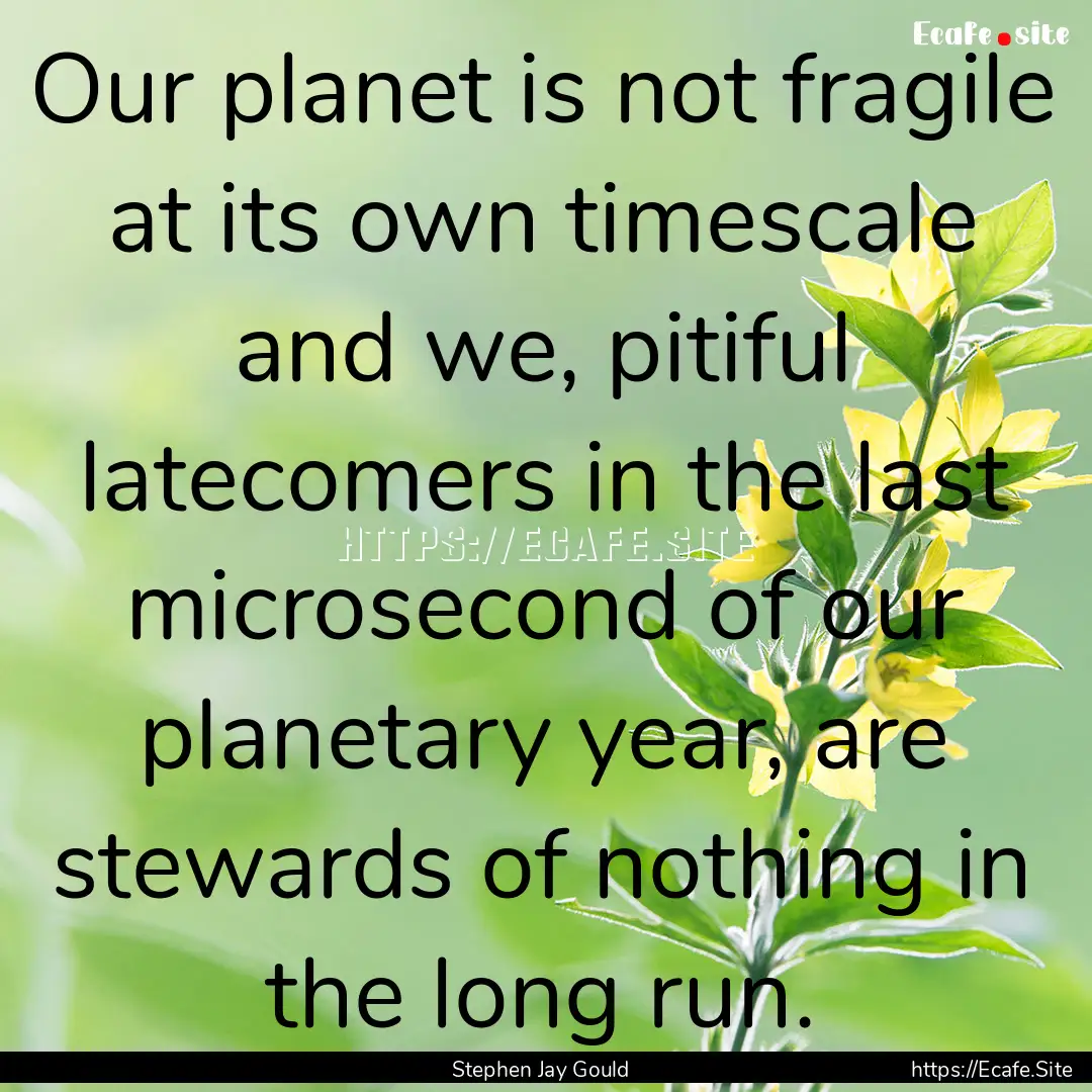 Our planet is not fragile at its own timescale.... : Quote by Stephen Jay Gould