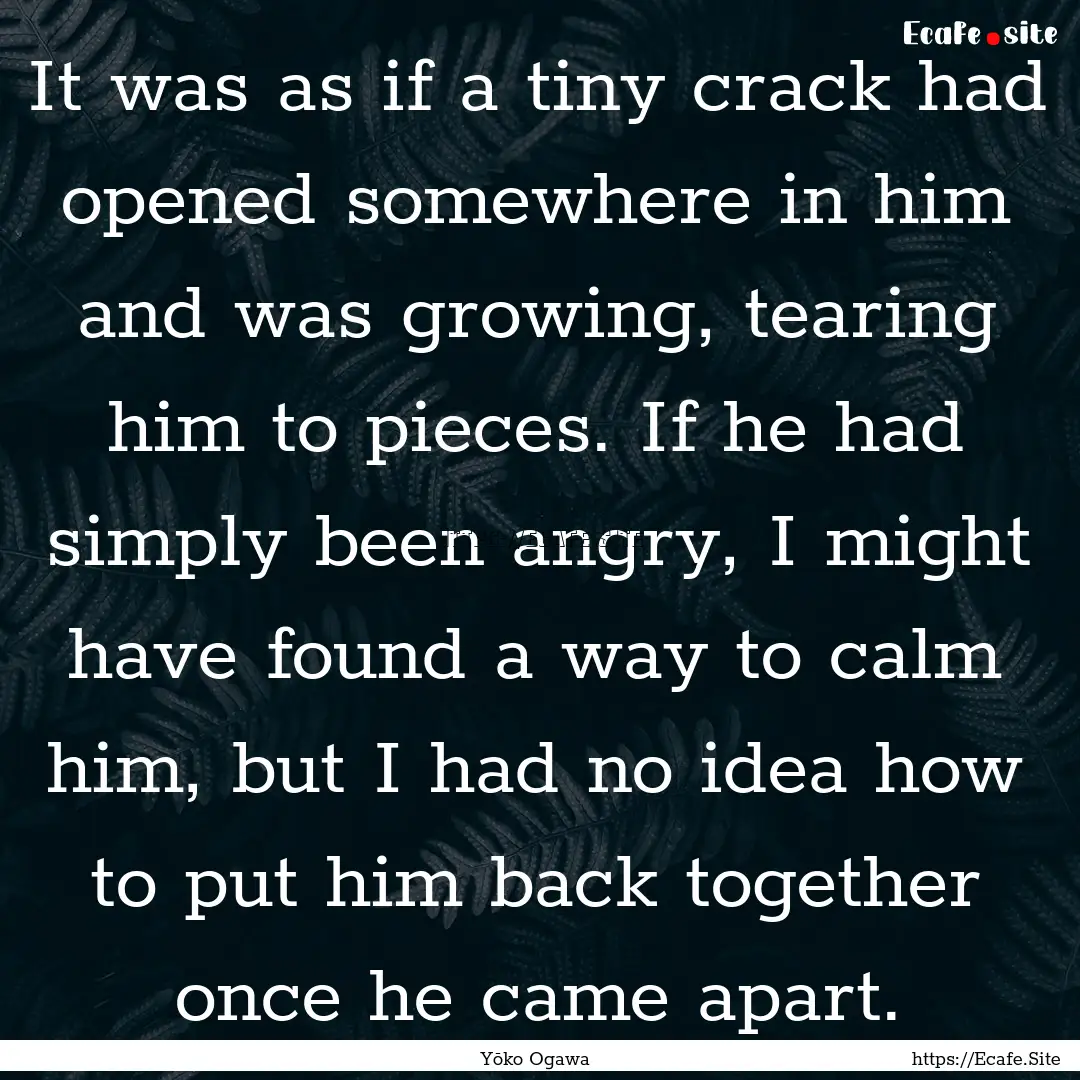 It was as if a tiny crack had opened somewhere.... : Quote by Yōko Ogawa