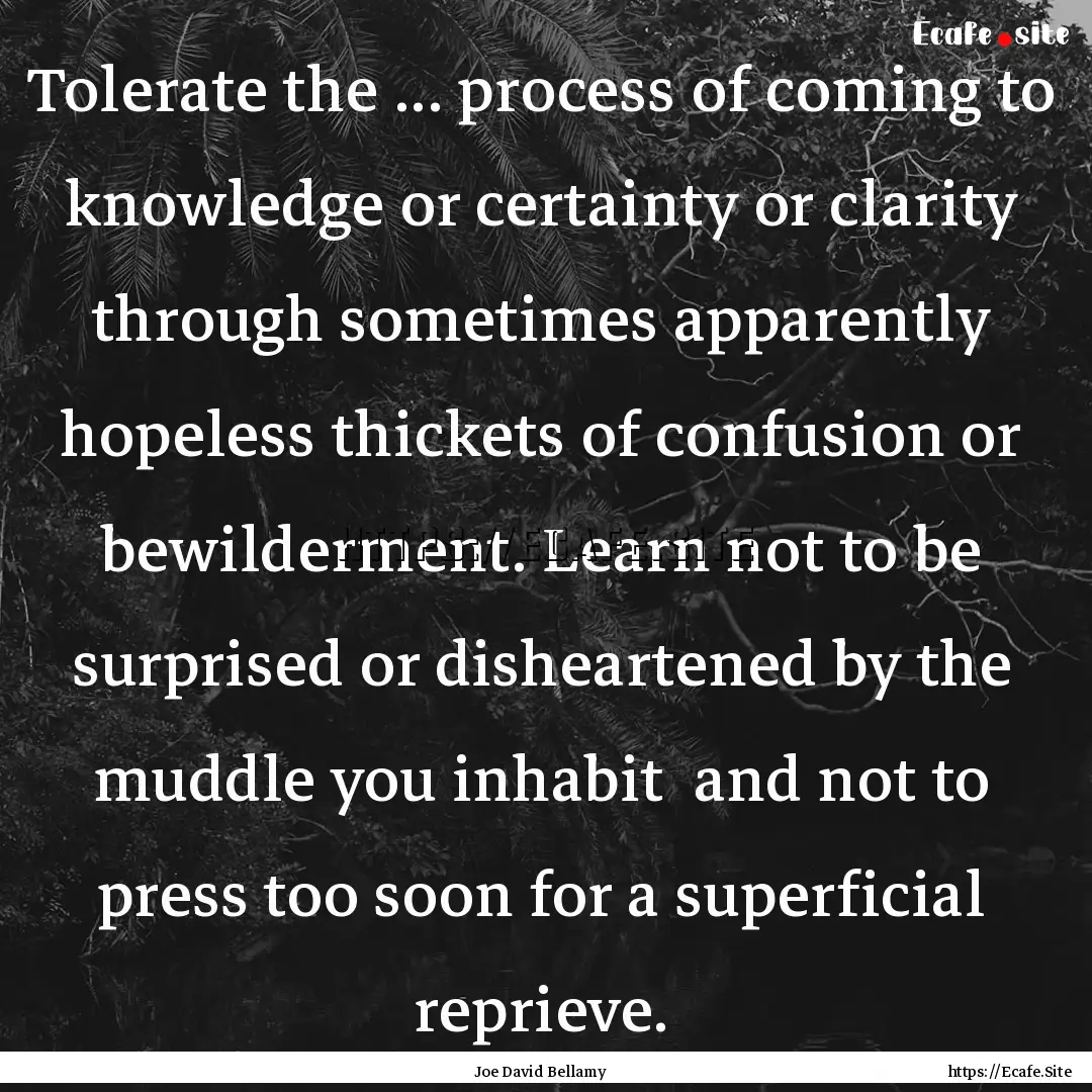 Tolerate the ... process of coming to knowledge.... : Quote by Joe David Bellamy