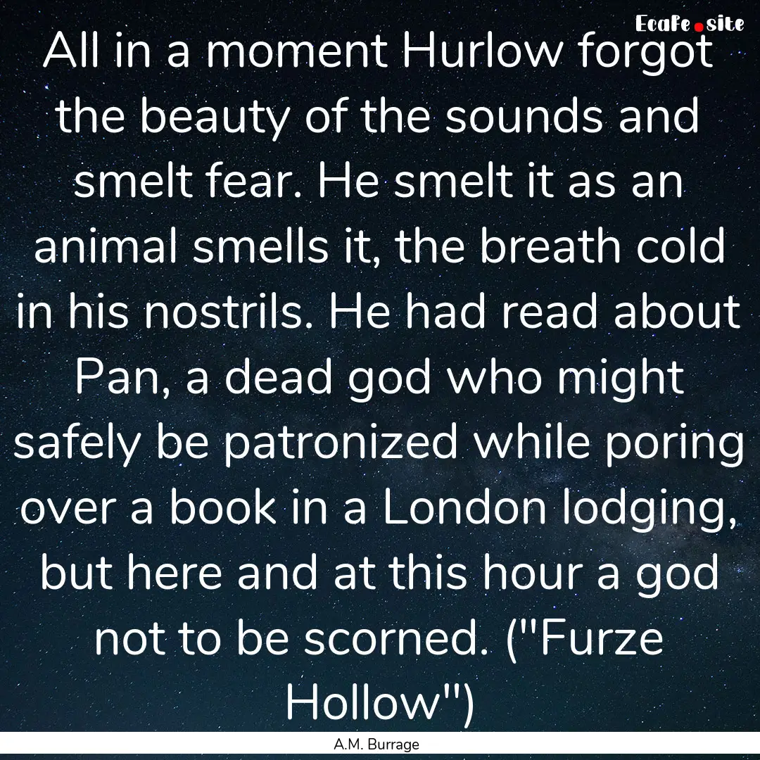 All in a moment Hurlow forgot the beauty.... : Quote by A.M. Burrage