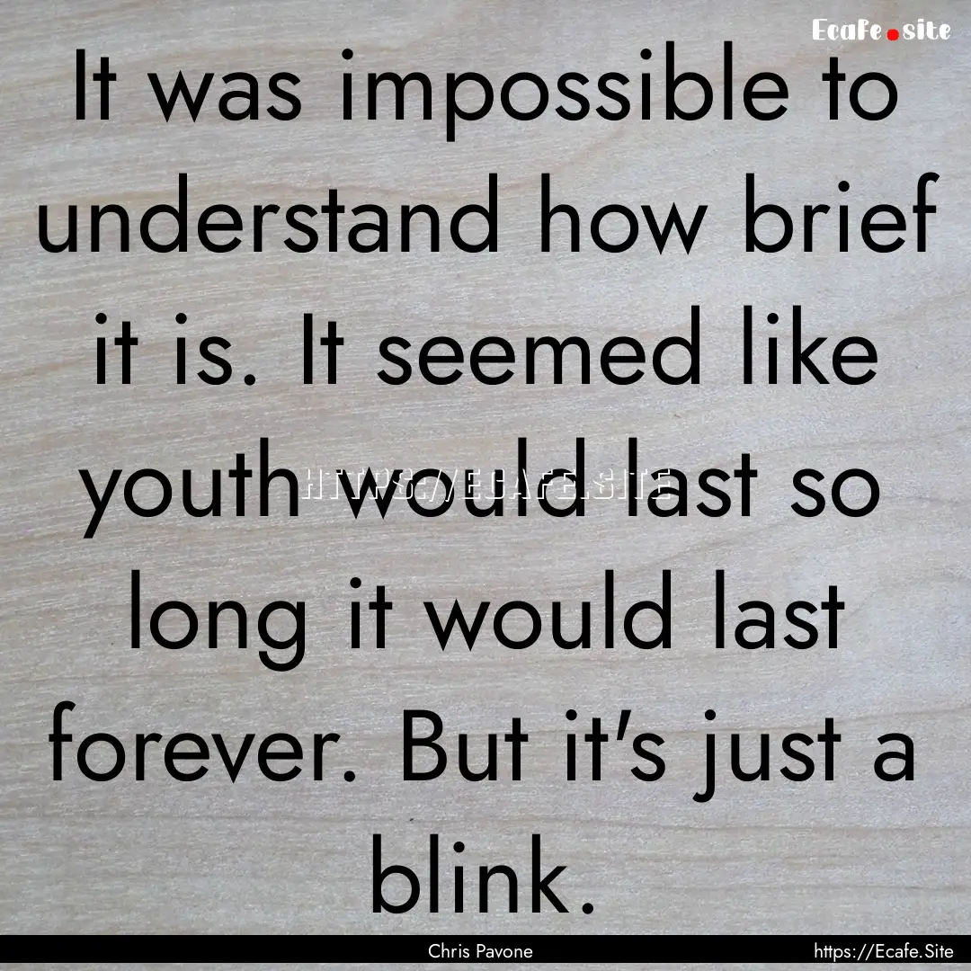 It was impossible to understand how brief.... : Quote by Chris Pavone