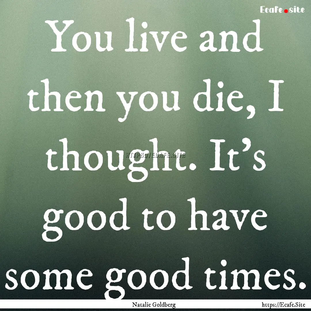 You live and then you die, I thought. It's.... : Quote by Natalie Goldberg