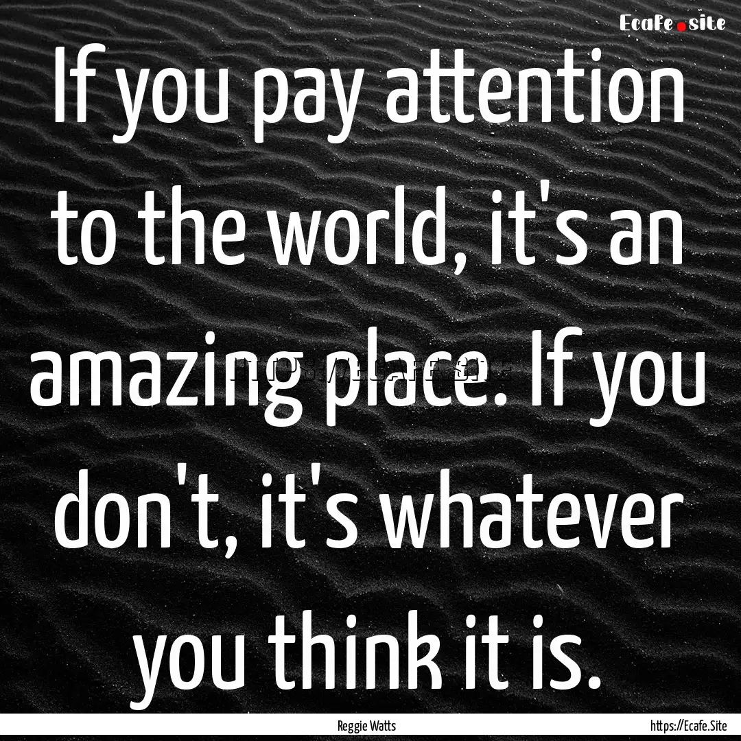 If you pay attention to the world, it's an.... : Quote by Reggie Watts