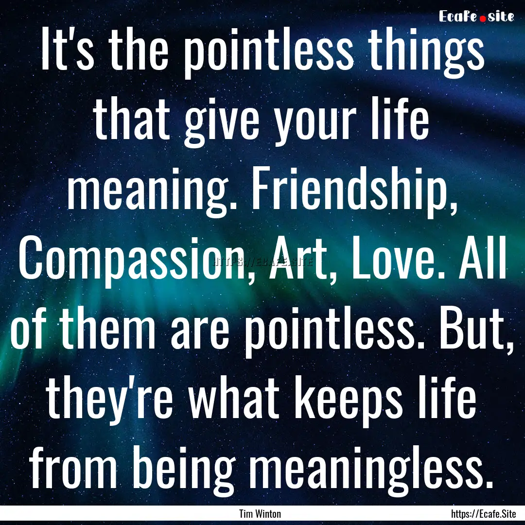 It's the pointless things that give your.... : Quote by Tim Winton