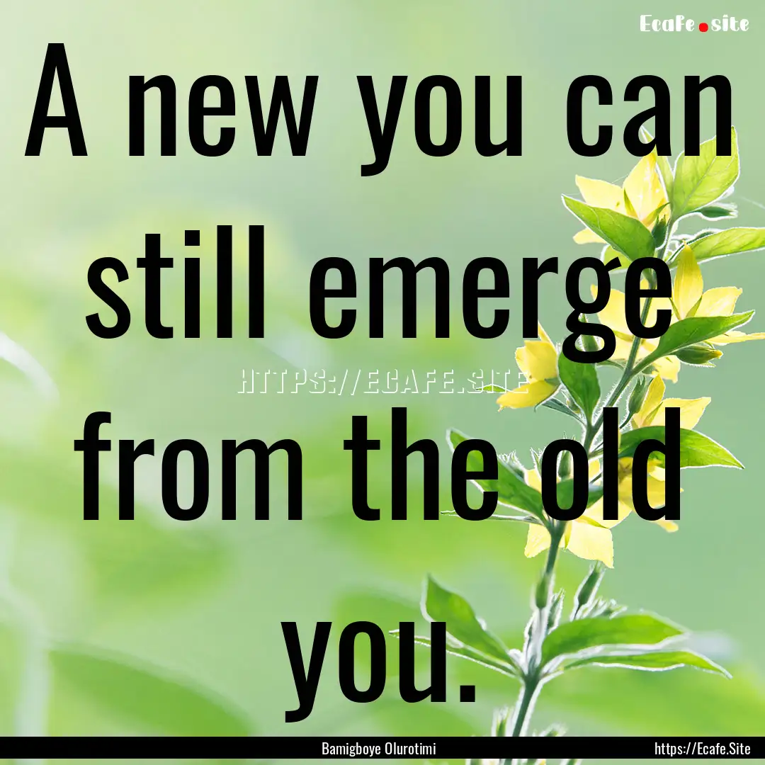 A new you can still emerge from the old you..... : Quote by Bamigboye Olurotimi