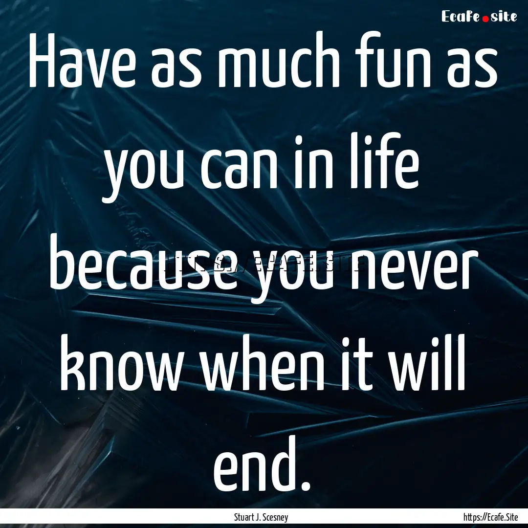 Have as much fun as you can in life because.... : Quote by Stuart J. Scesney