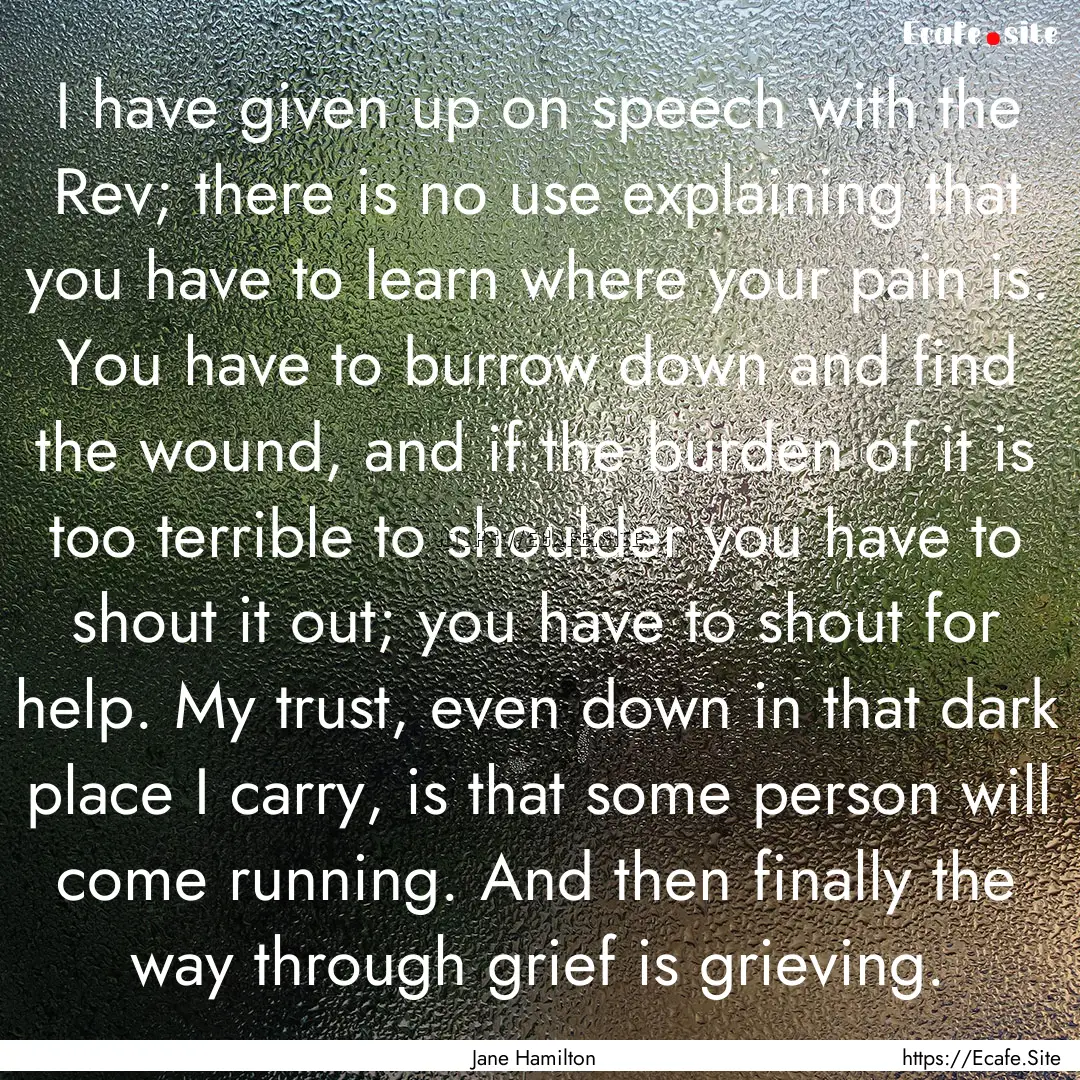 I have given up on speech with the Rev; there.... : Quote by Jane Hamilton