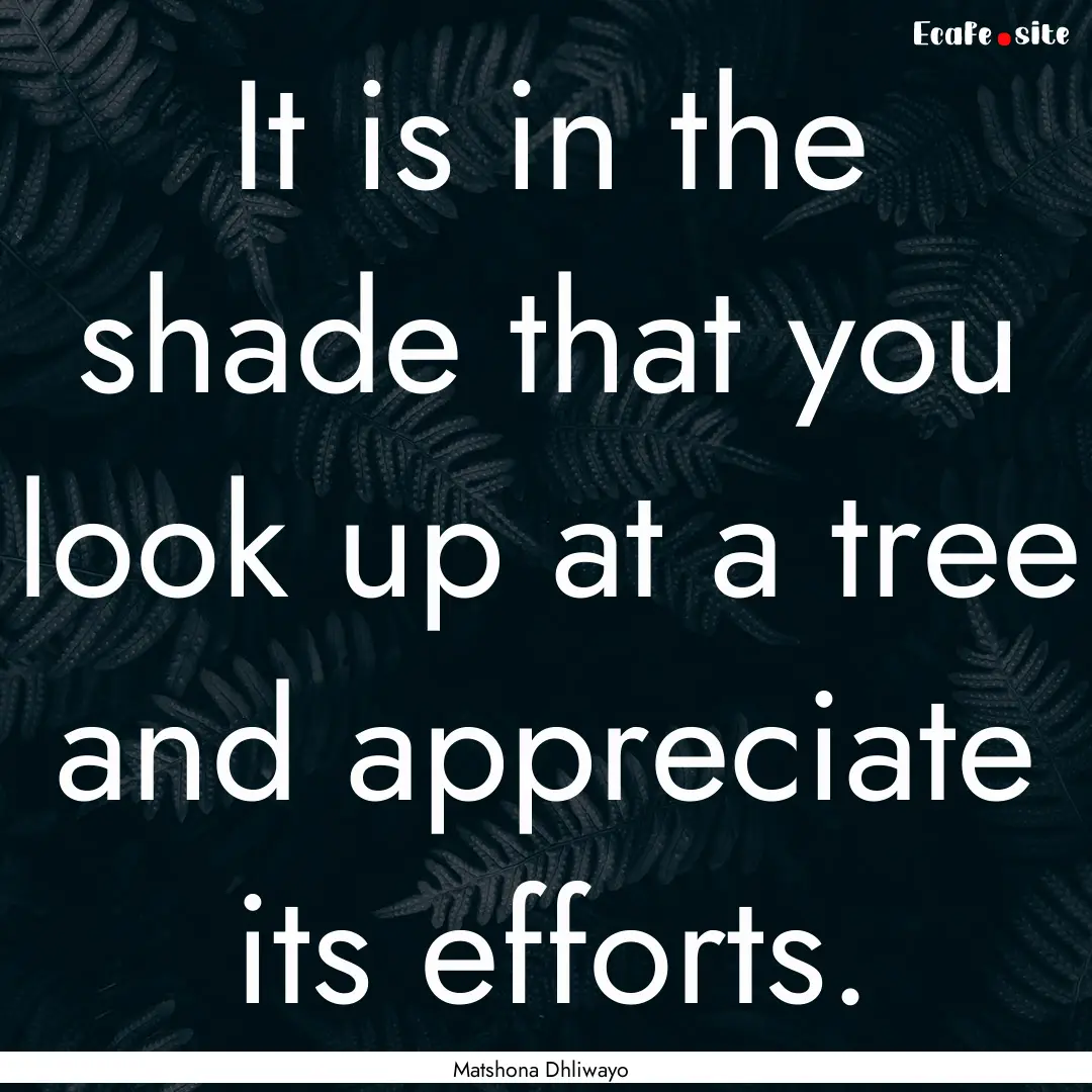 It is in the shade that you look up at a.... : Quote by Matshona Dhliwayo