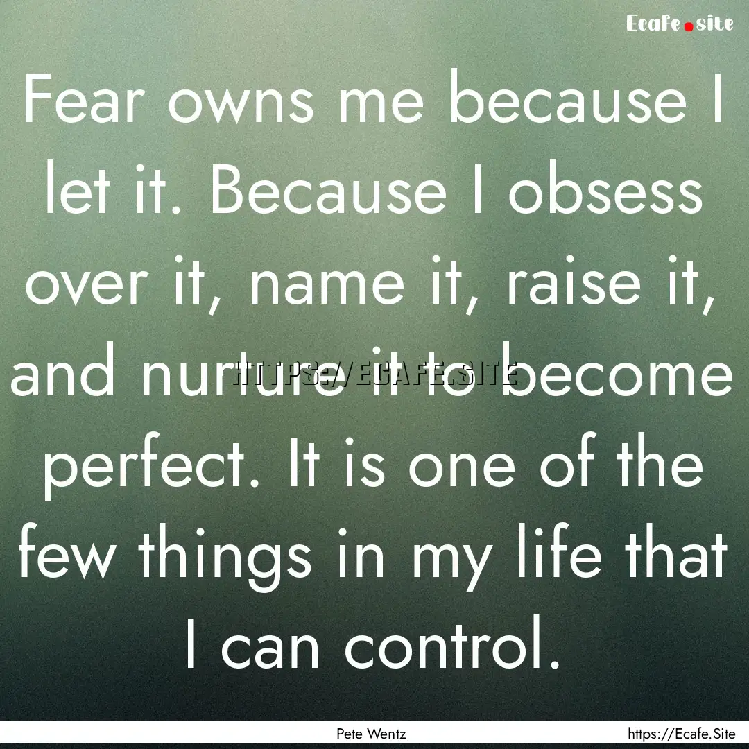 Fear owns me because I let it. Because I.... : Quote by Pete Wentz