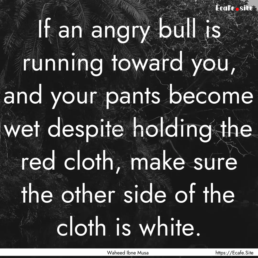 If an angry bull is running toward you, and.... : Quote by Waheed Ibne Musa