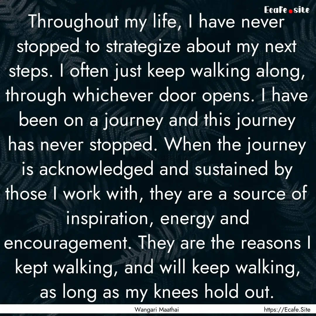 Throughout my life, I have never stopped.... : Quote by Wangari Maathai