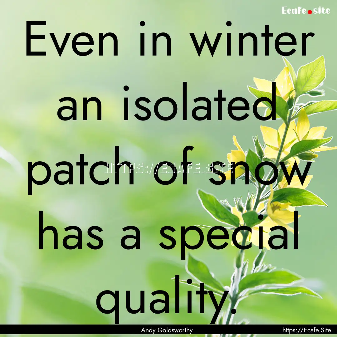 Even in winter an isolated patch of snow.... : Quote by Andy Goldsworthy