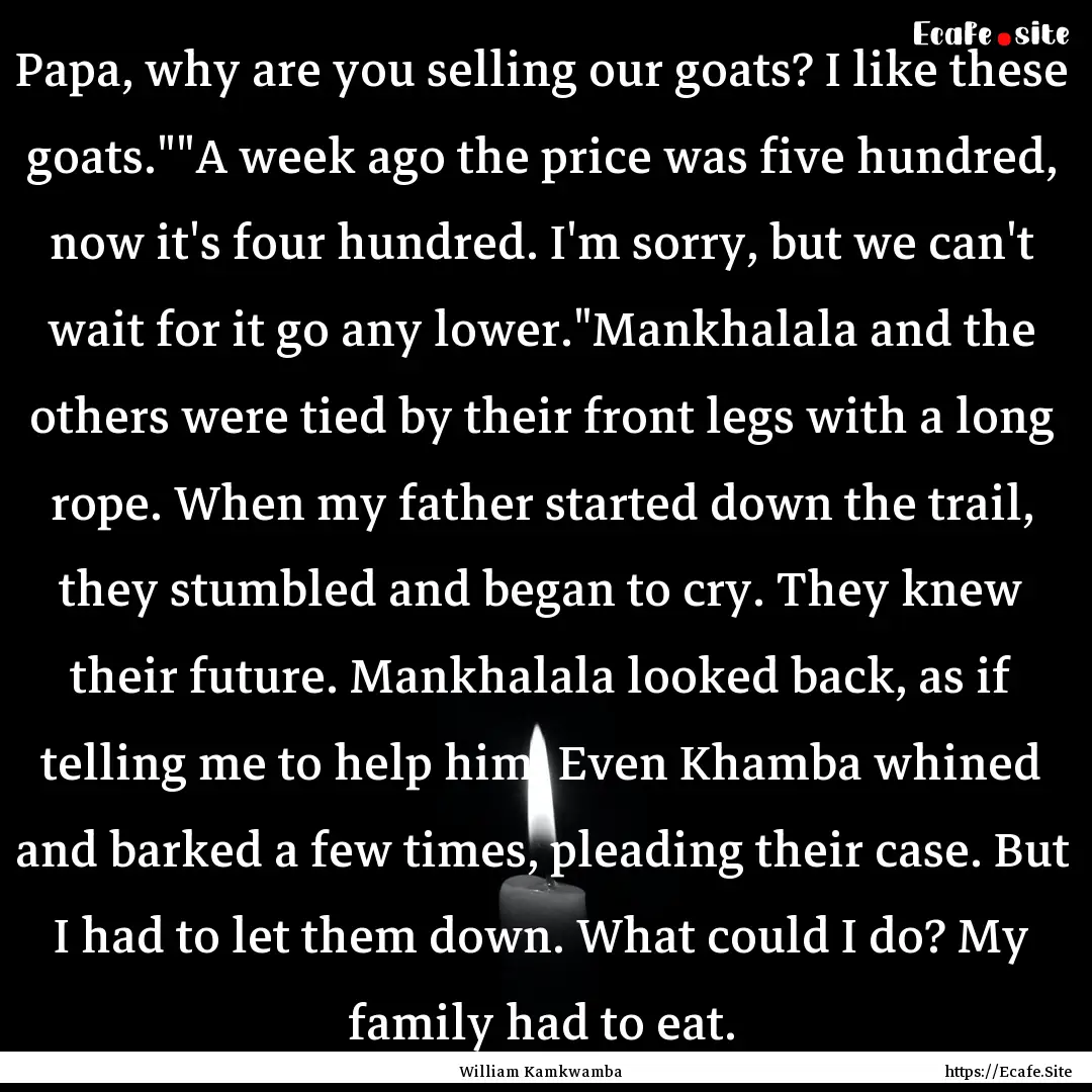 Papa, why are you selling our goats? I like.... : Quote by William Kamkwamba