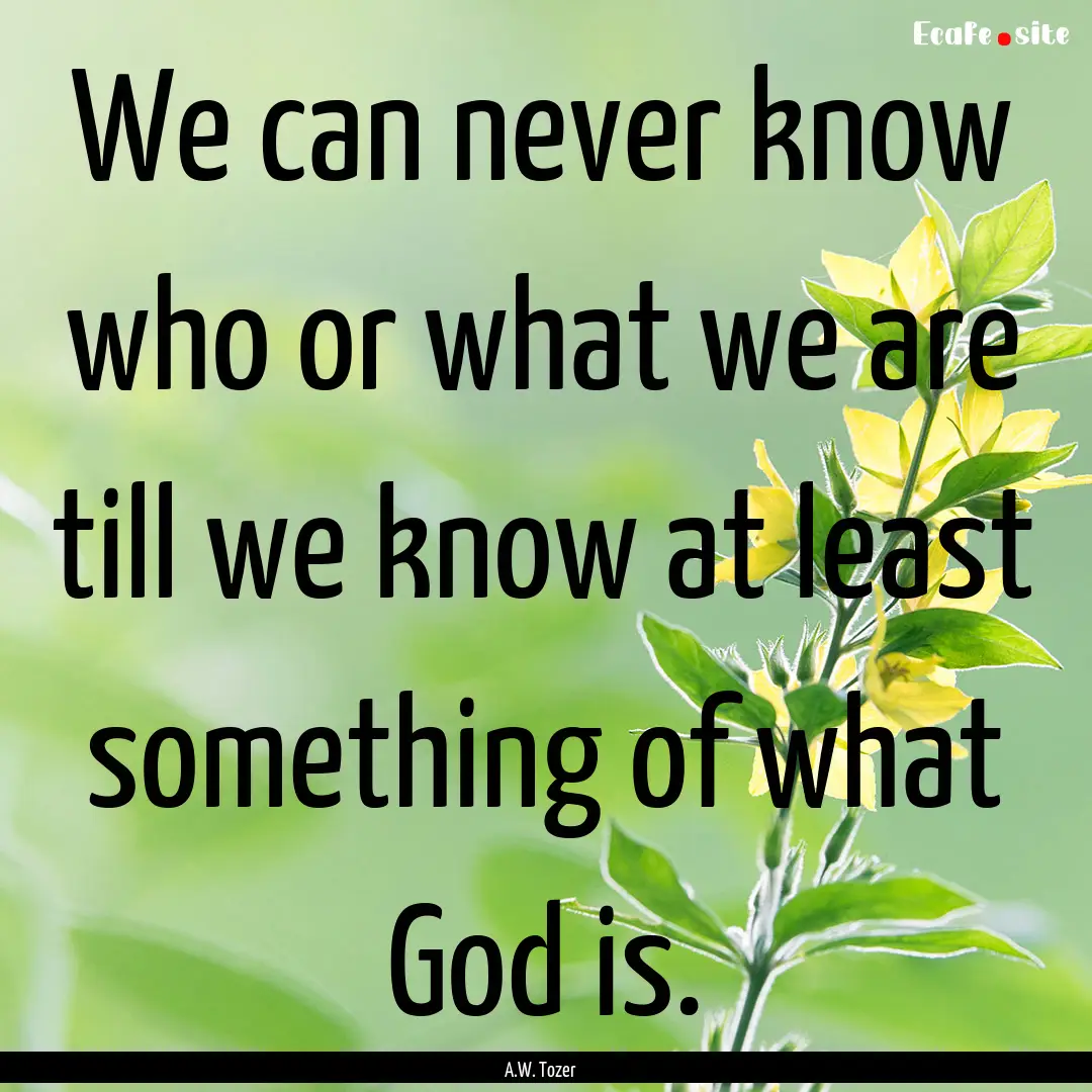 We can never know who or what we are till.... : Quote by A.W. Tozer