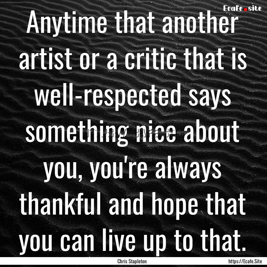 Anytime that another artist or a critic that.... : Quote by Chris Stapleton