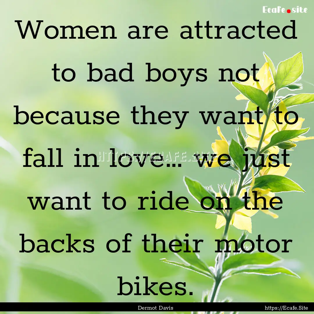 Women are attracted to bad boys not because.... : Quote by Dermot Davis