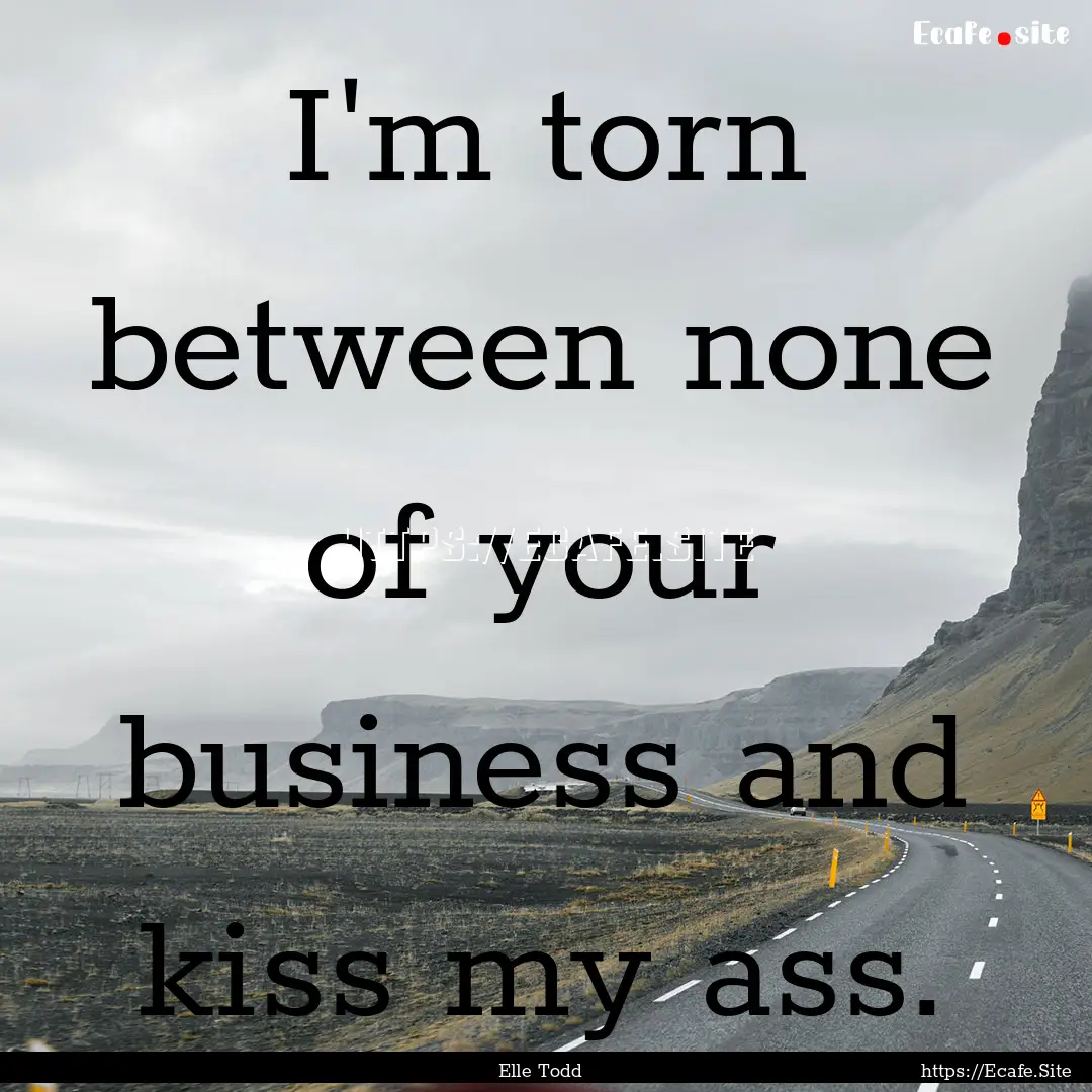 I'm torn between none of your business and.... : Quote by Elle Todd