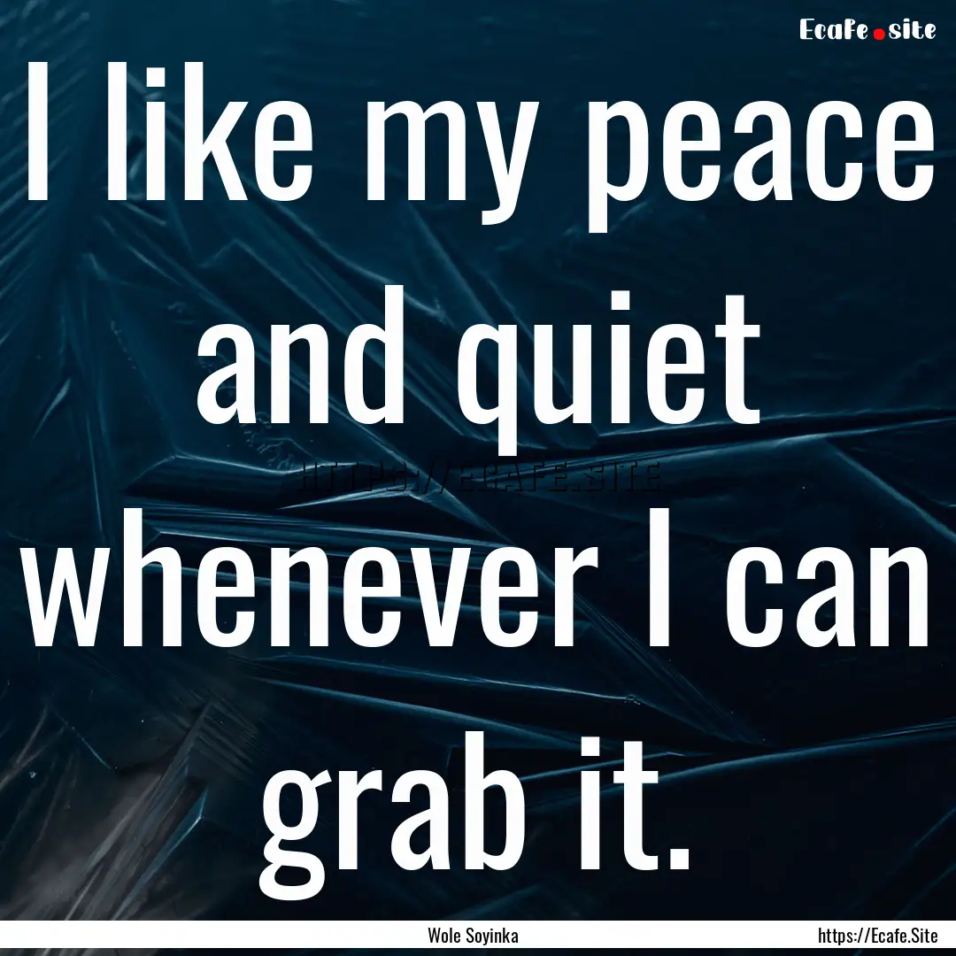 I like my peace and quiet whenever I can.... : Quote by Wole Soyinka