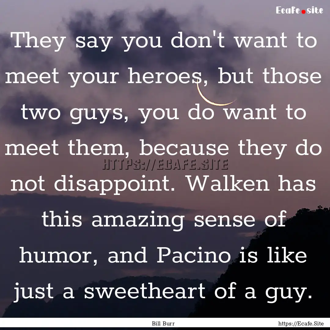 They say you don't want to meet your heroes,.... : Quote by Bill Burr