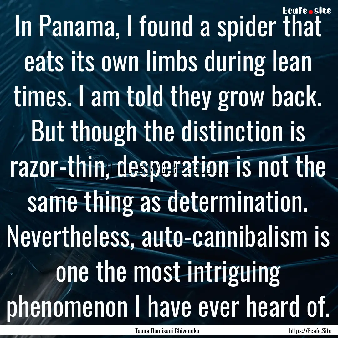 In Panama, I found a spider that eats its.... : Quote by Taona Dumisani Chiveneko