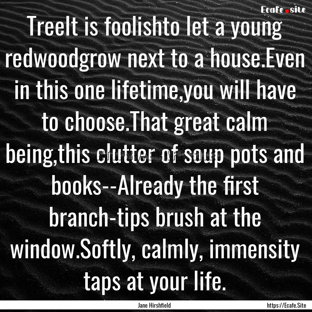 TreeIt is foolishto let a young redwoodgrow.... : Quote by Jane Hirshfield