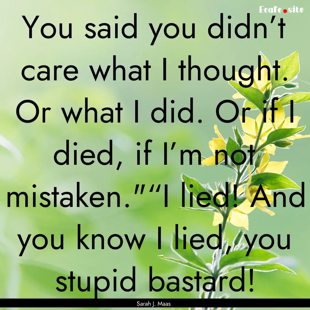 You said you didn’t care what I thought..... : Quote by Sarah J. Maas