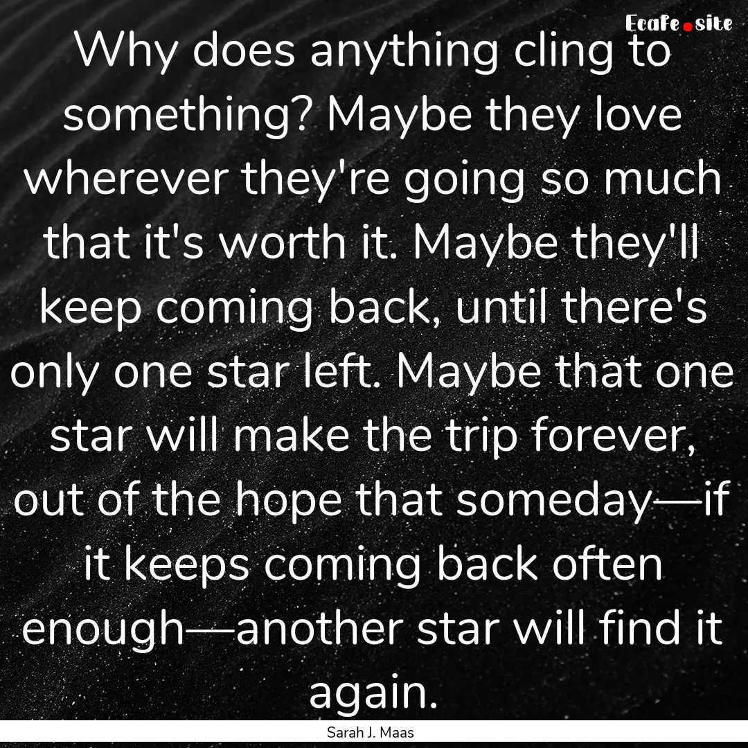 Why does anything cling to something? Maybe.... : Quote by Sarah J. Maas