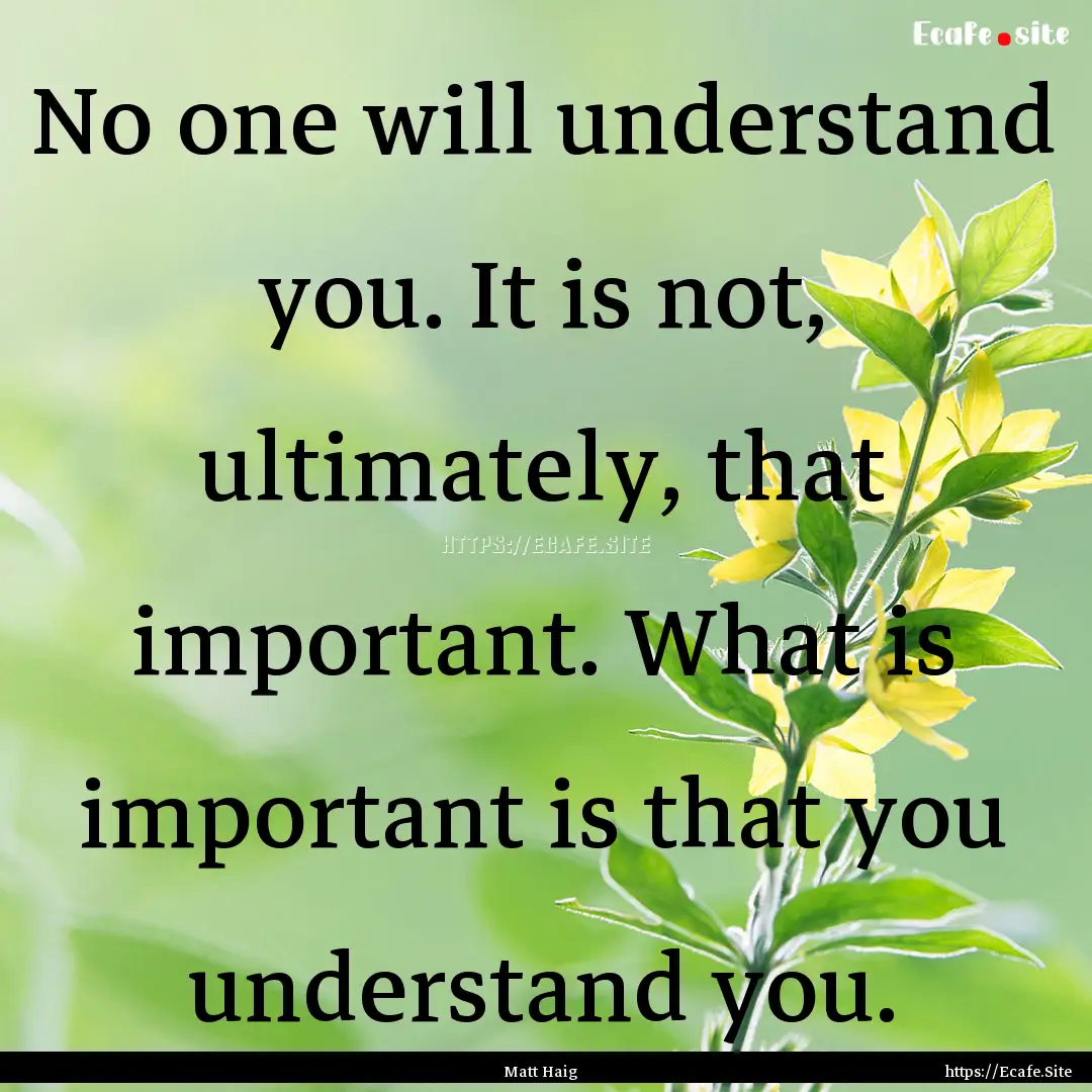 No one will understand you. It is not, ultimately,.... : Quote by Matt Haig