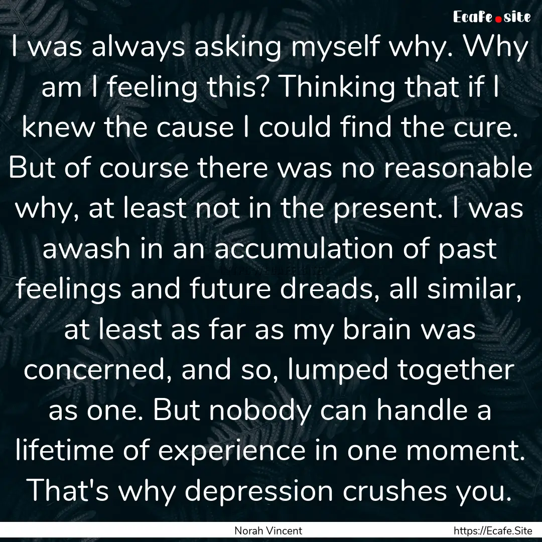 I was always asking myself why. Why am I.... : Quote by Norah Vincent