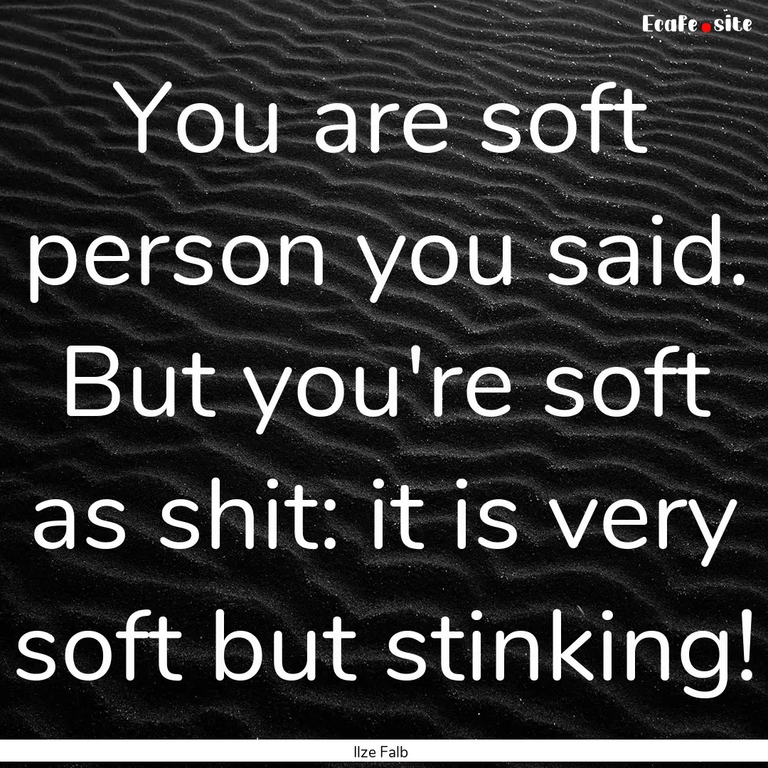 You are soft person you said. But you're.... : Quote by Ilze Falb