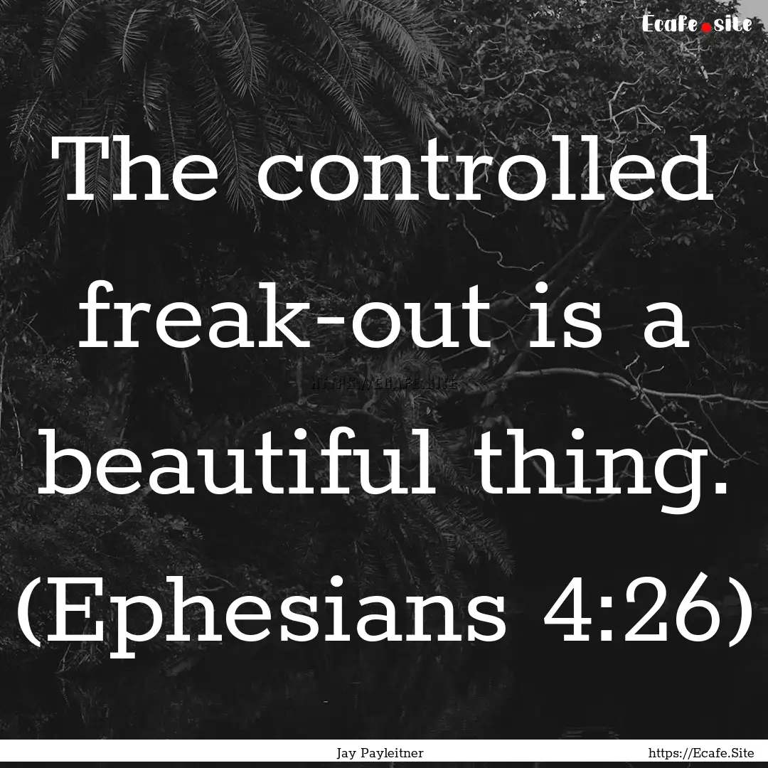 The controlled freak-out is a beautiful thing..... : Quote by Jay Payleitner