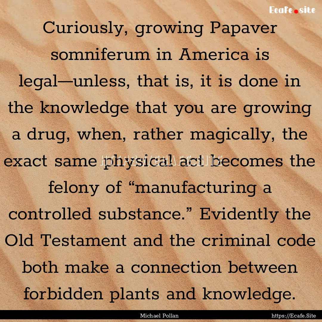 Curiously, growing Papaver somniferum in.... : Quote by Michael Pollan