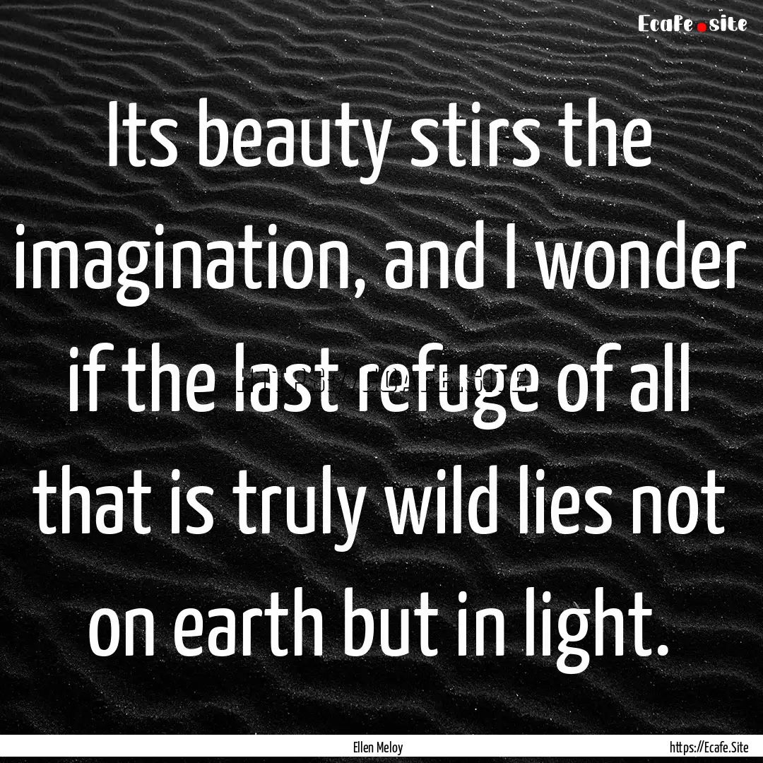 Its beauty stirs the imagination, and I wonder.... : Quote by Ellen Meloy