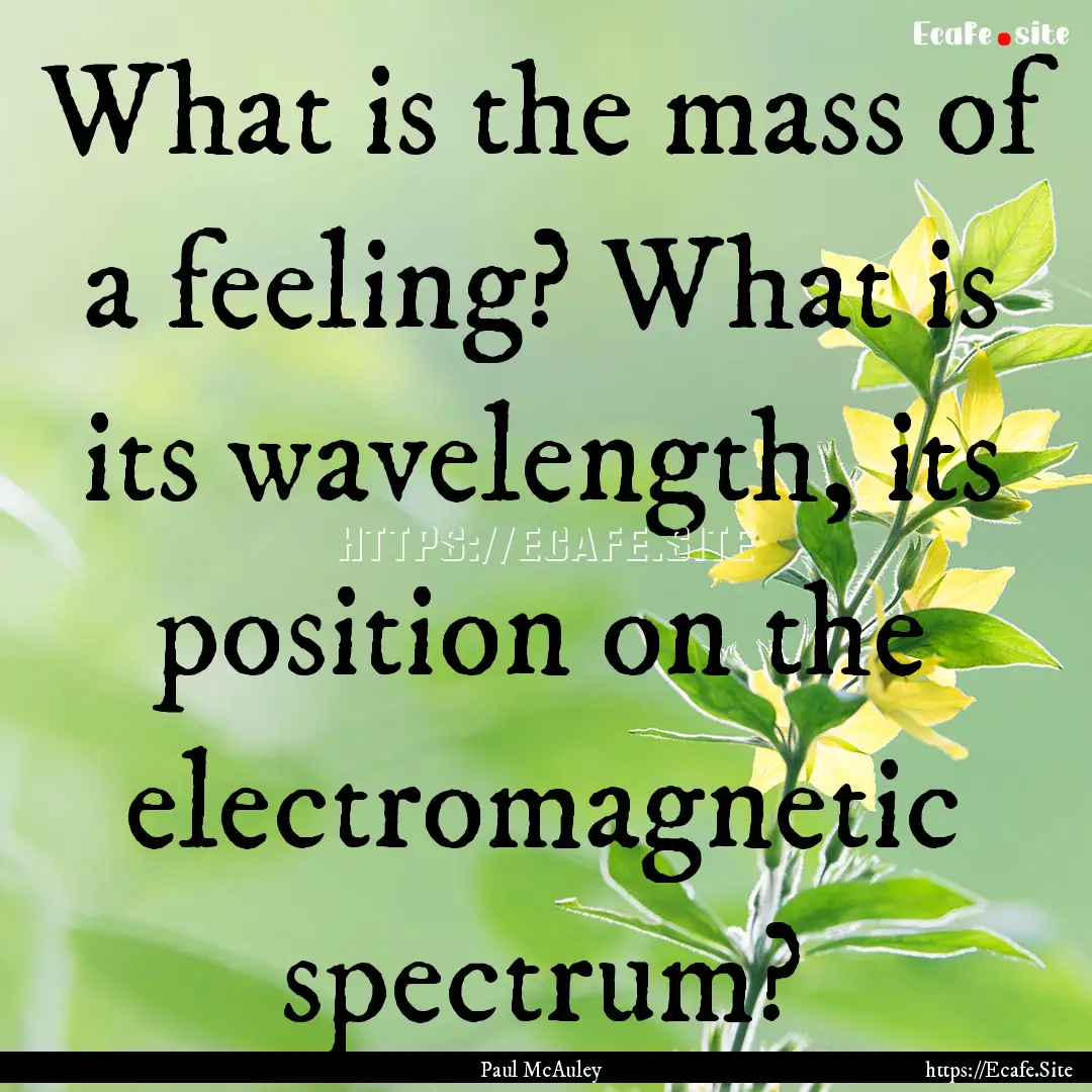 What is the mass of a feeling? What is its.... : Quote by Paul McAuley