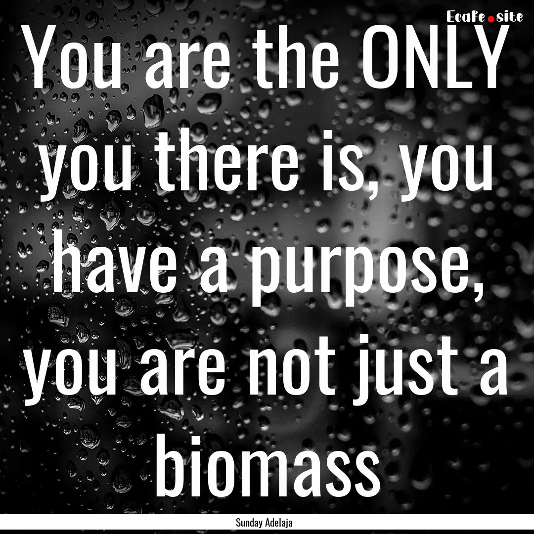 You are the ONLY you there is, you have a.... : Quote by Sunday Adelaja