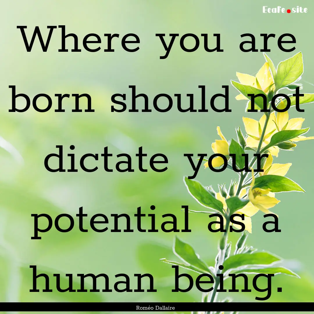 Where you are born should not dictate your.... : Quote by Roméo Dallaire