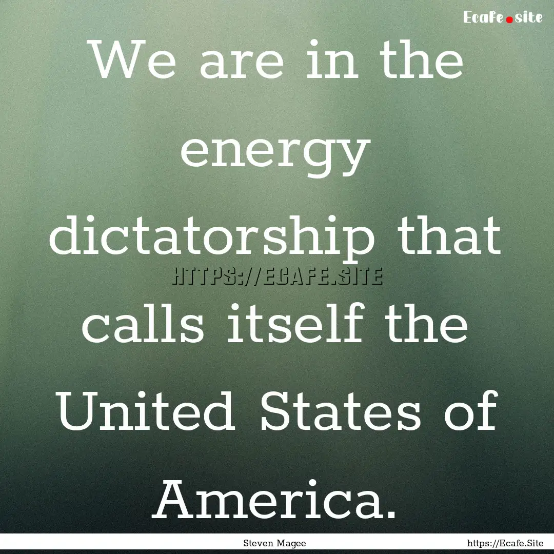 We are in the energy dictatorship that calls.... : Quote by Steven Magee