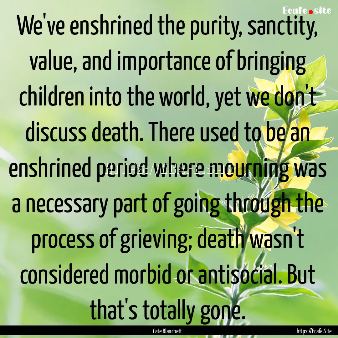 We've enshrined the purity, sanctity, value,.... : Quote by Cate Blanchett