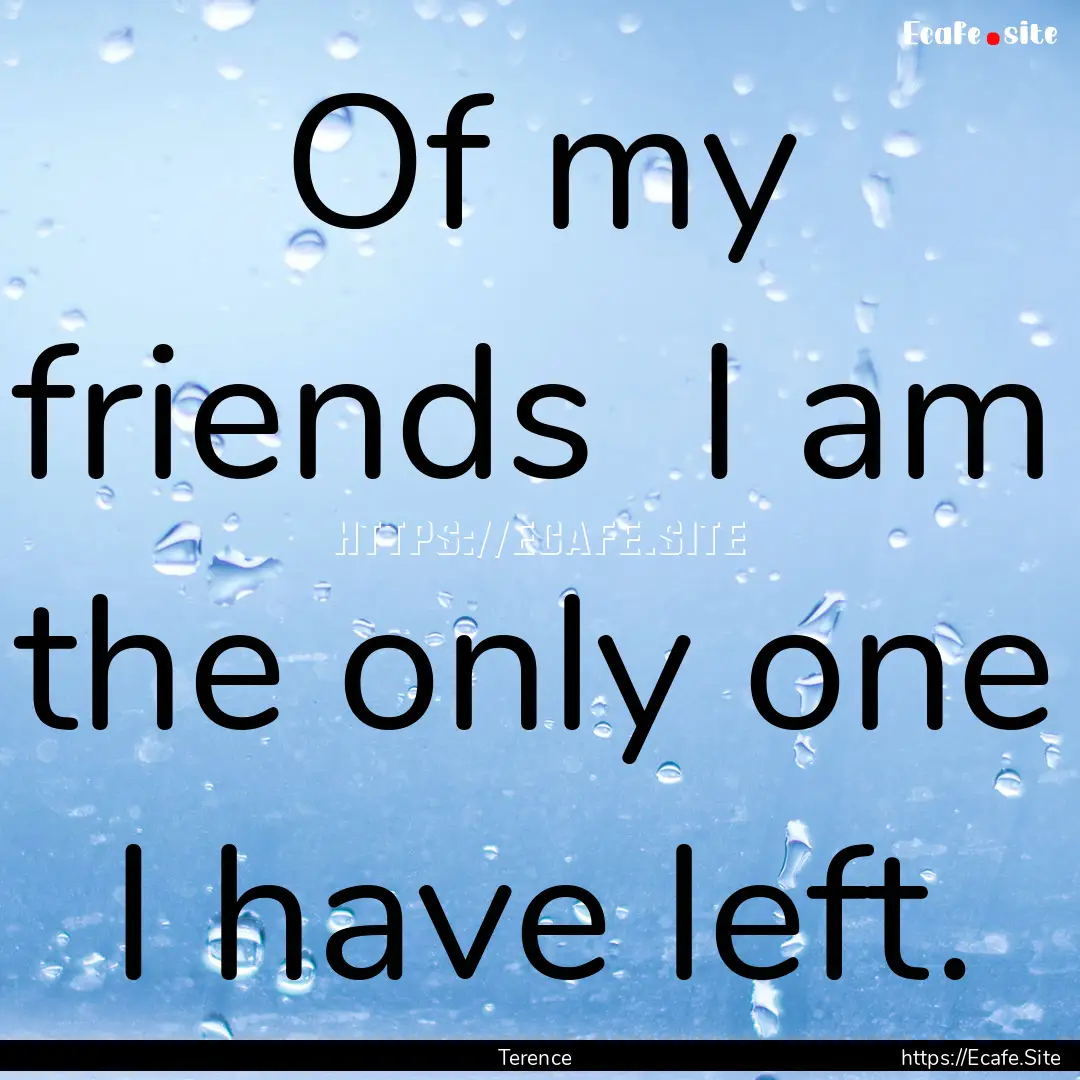 Of my friends I am the only one I have left..... : Quote by Terence