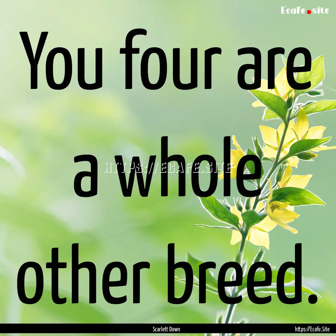 You four are a whole other breed. : Quote by Scarlett Dawn