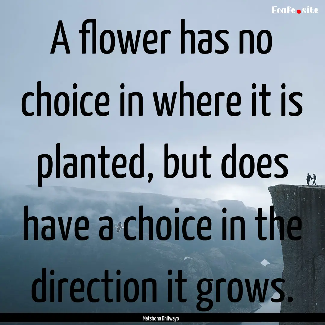 A flower has no choice in where it is planted,.... : Quote by Matshona Dhliwayo