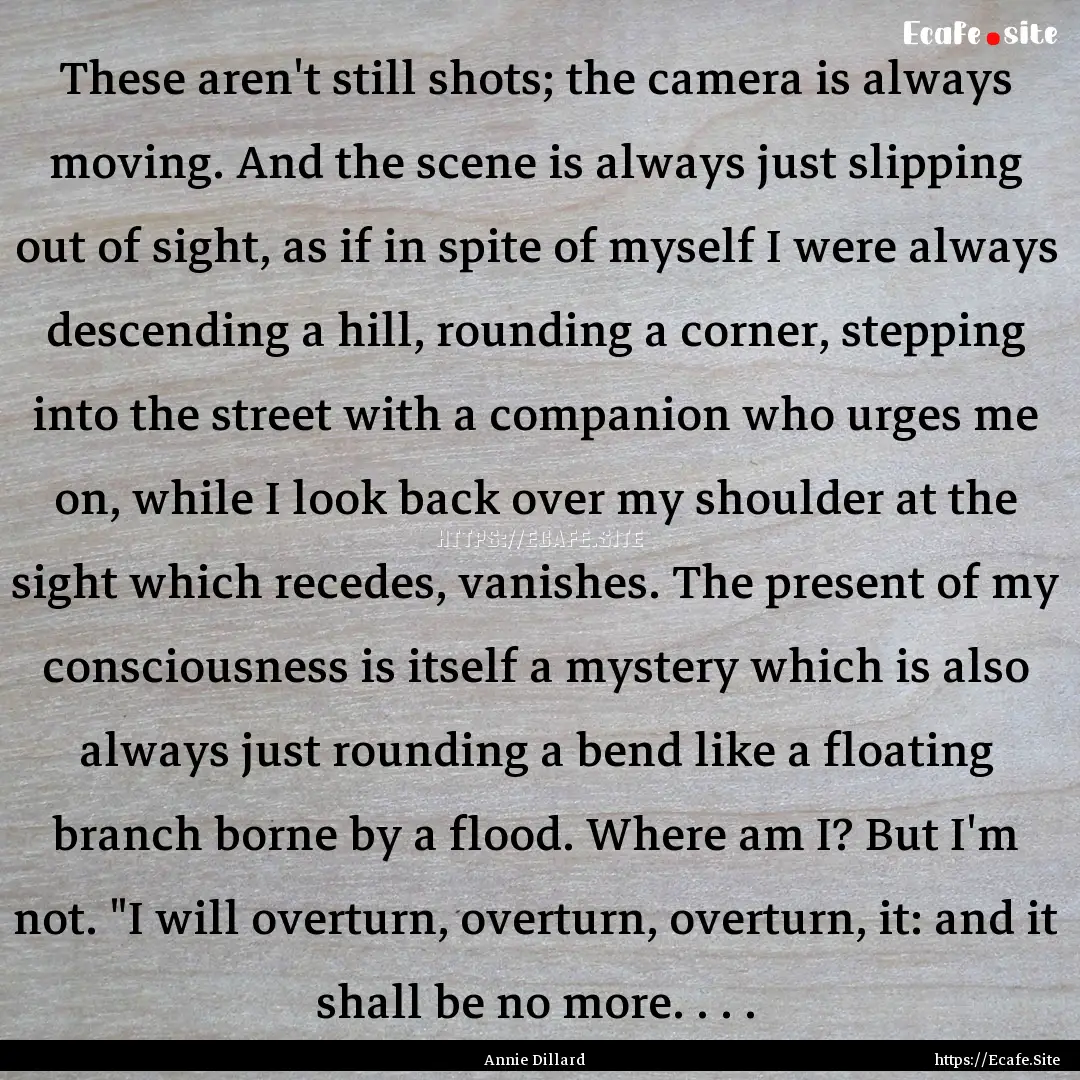 These aren't still shots; the camera is always.... : Quote by Annie Dillard