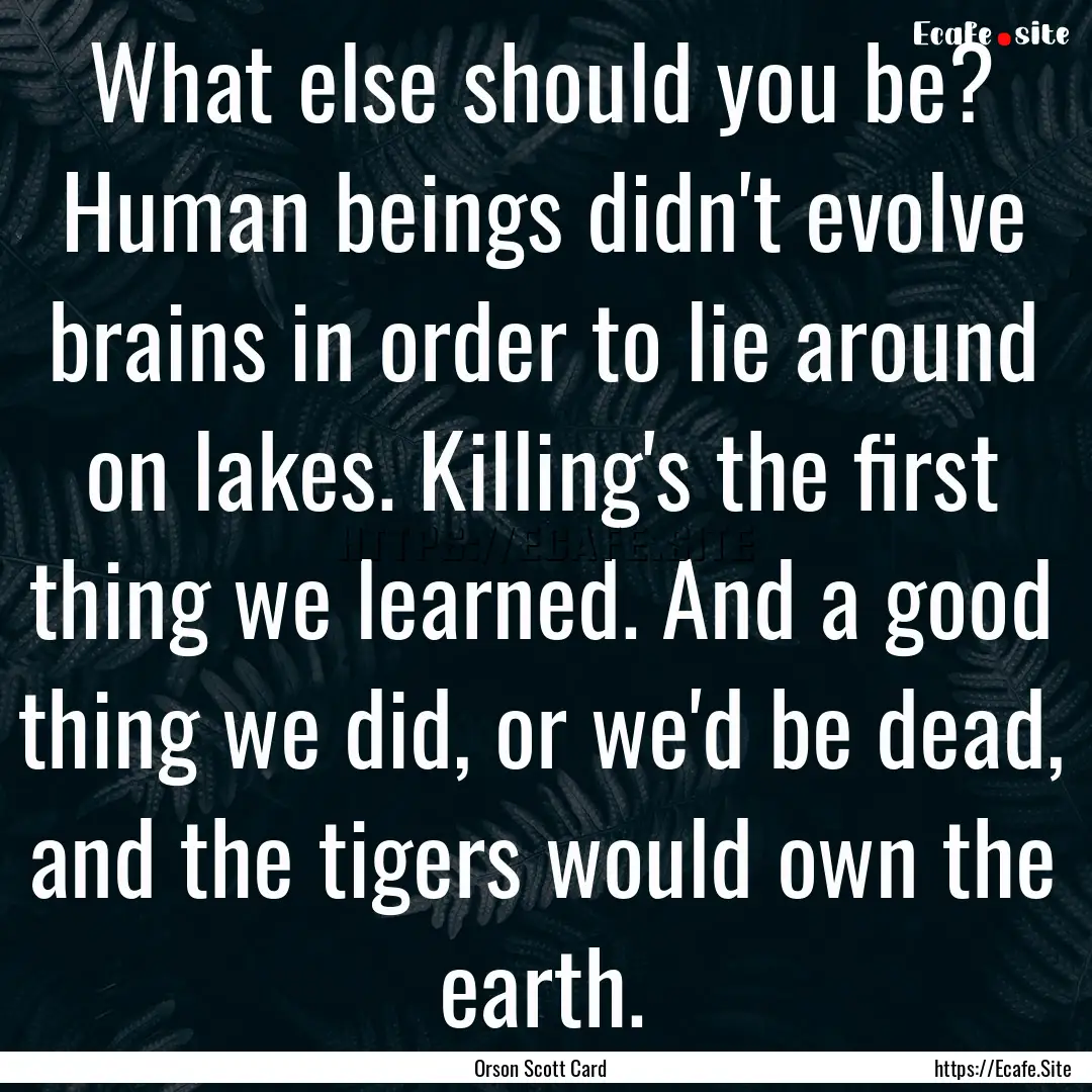 What else should you be? Human beings didn't.... : Quote by Orson Scott Card