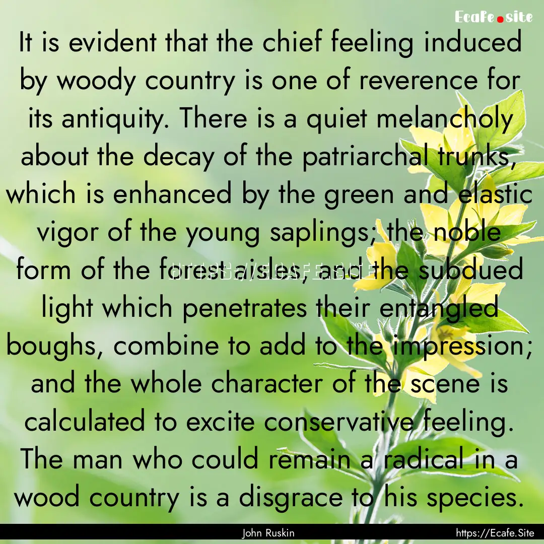 It is evident that the chief feeling induced.... : Quote by John Ruskin