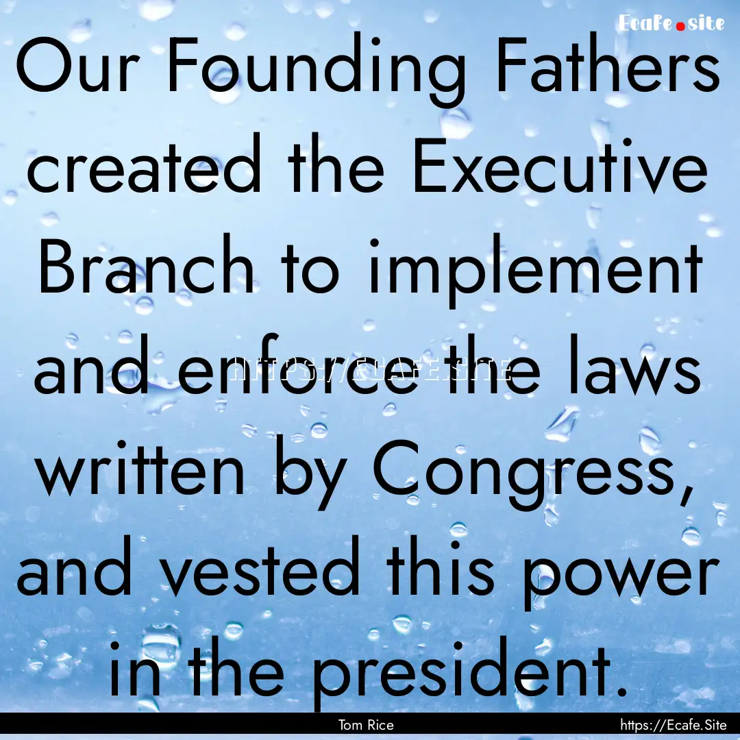 Our Founding Fathers created the Executive.... : Quote by Tom Rice