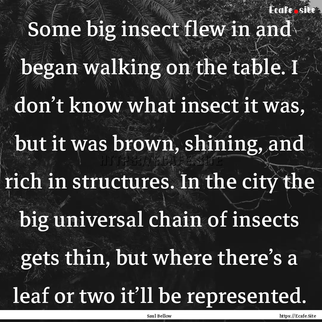 Some big insect flew in and began walking.... : Quote by Saul Bellow