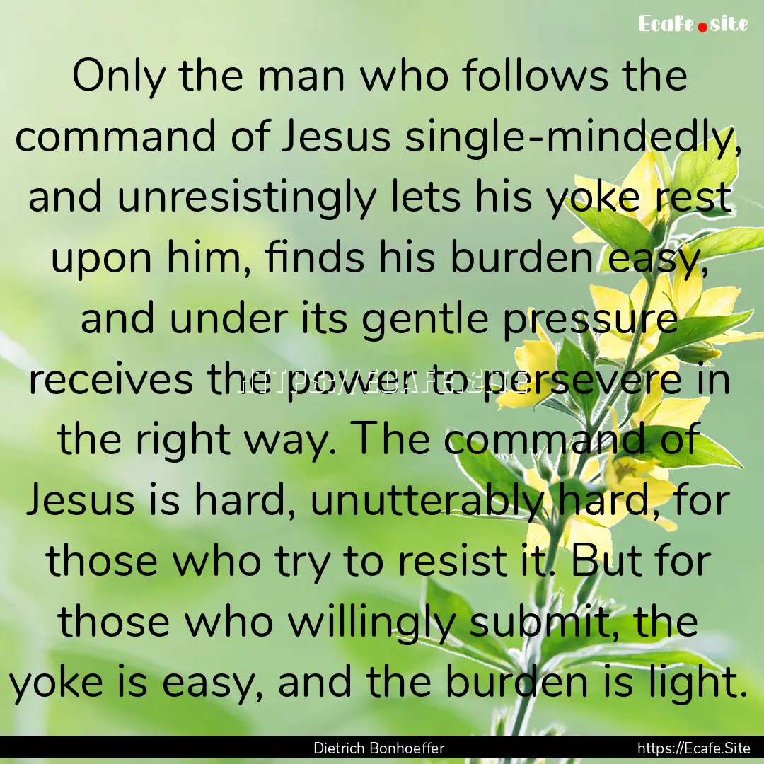 Only the man who follows the command of Jesus.... : Quote by Dietrich Bonhoeffer